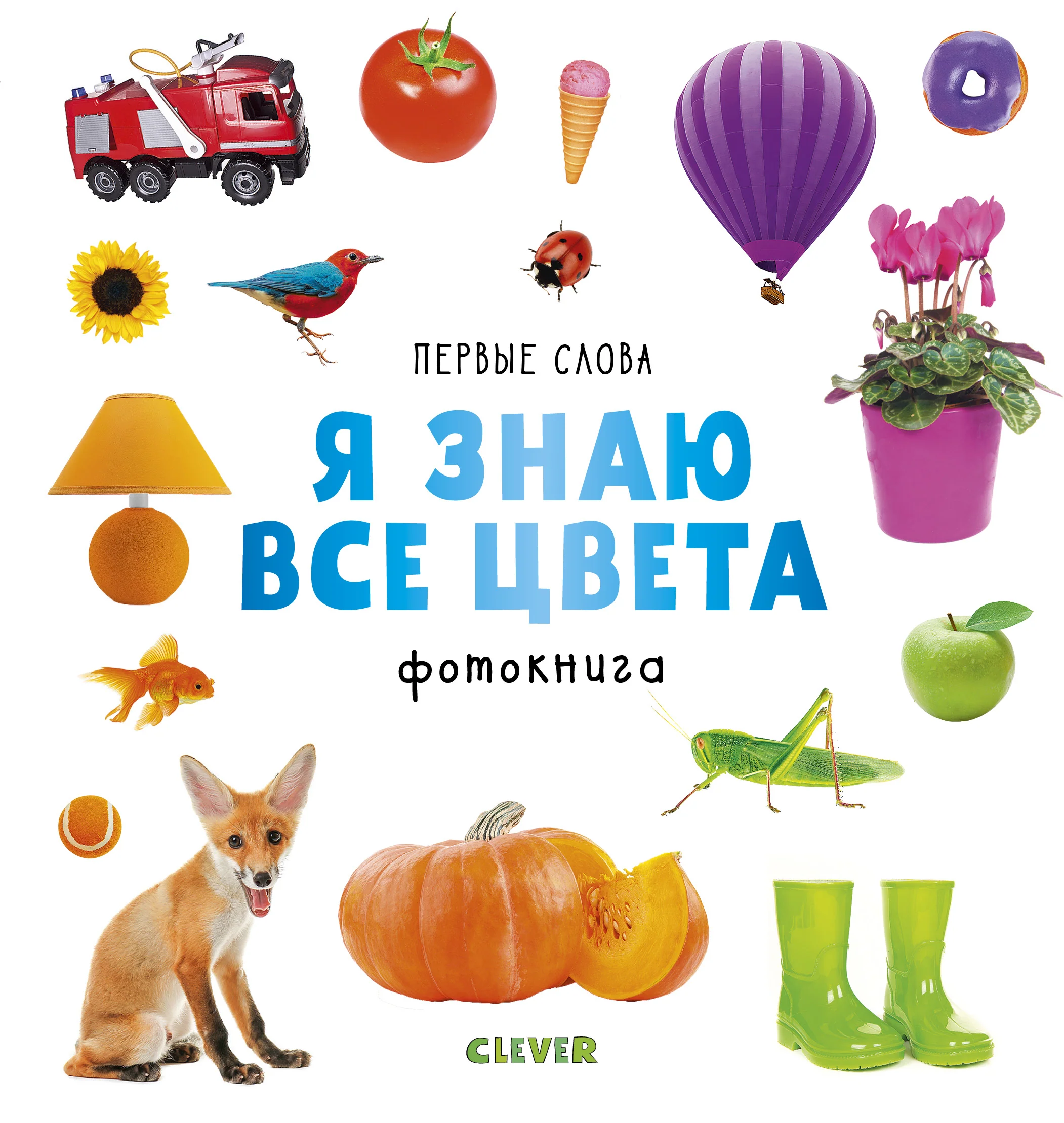 תמונת מוצר 8