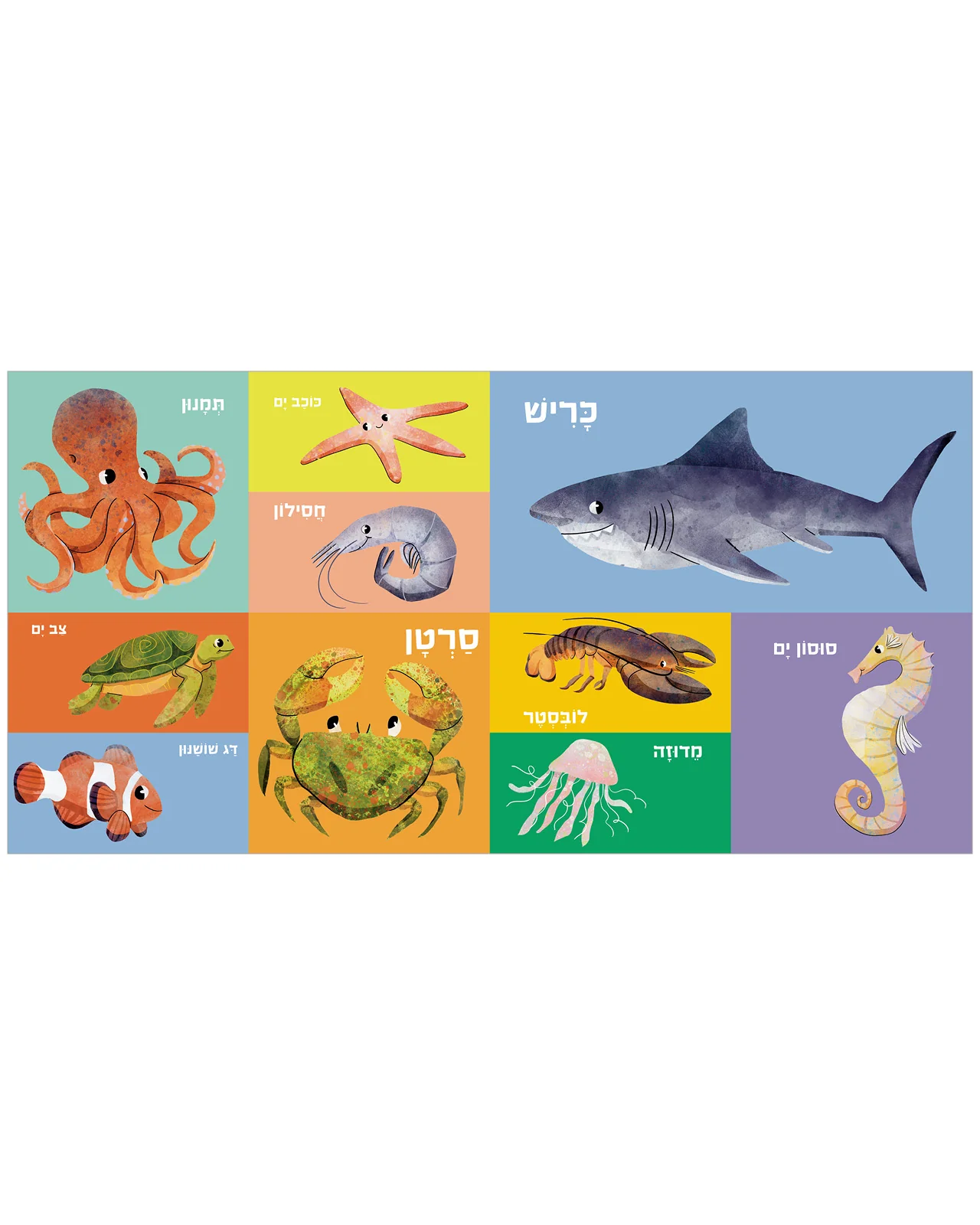 תמונת מוצר 6