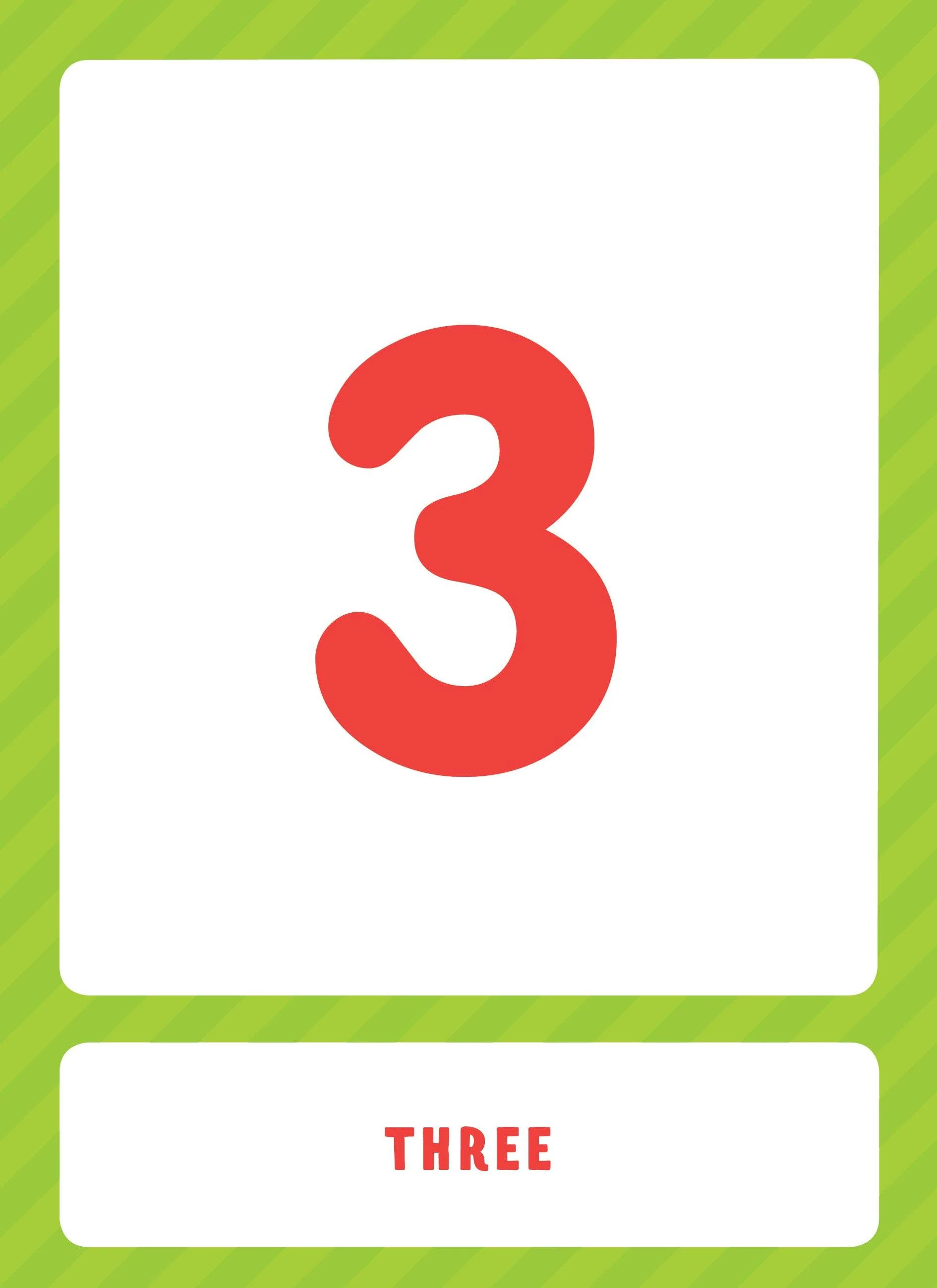 תמונת מוצר 5