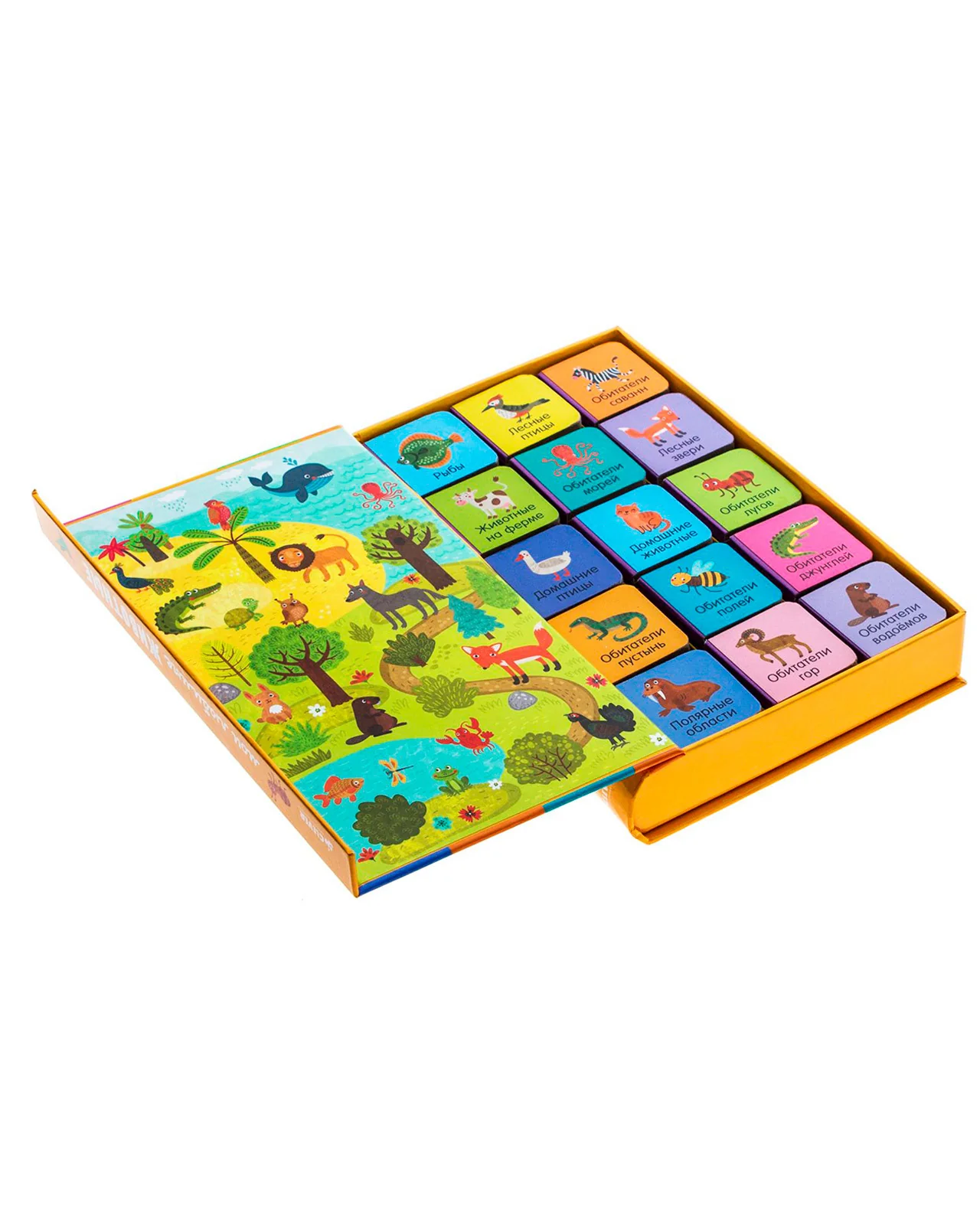 תמונת מוצר 19