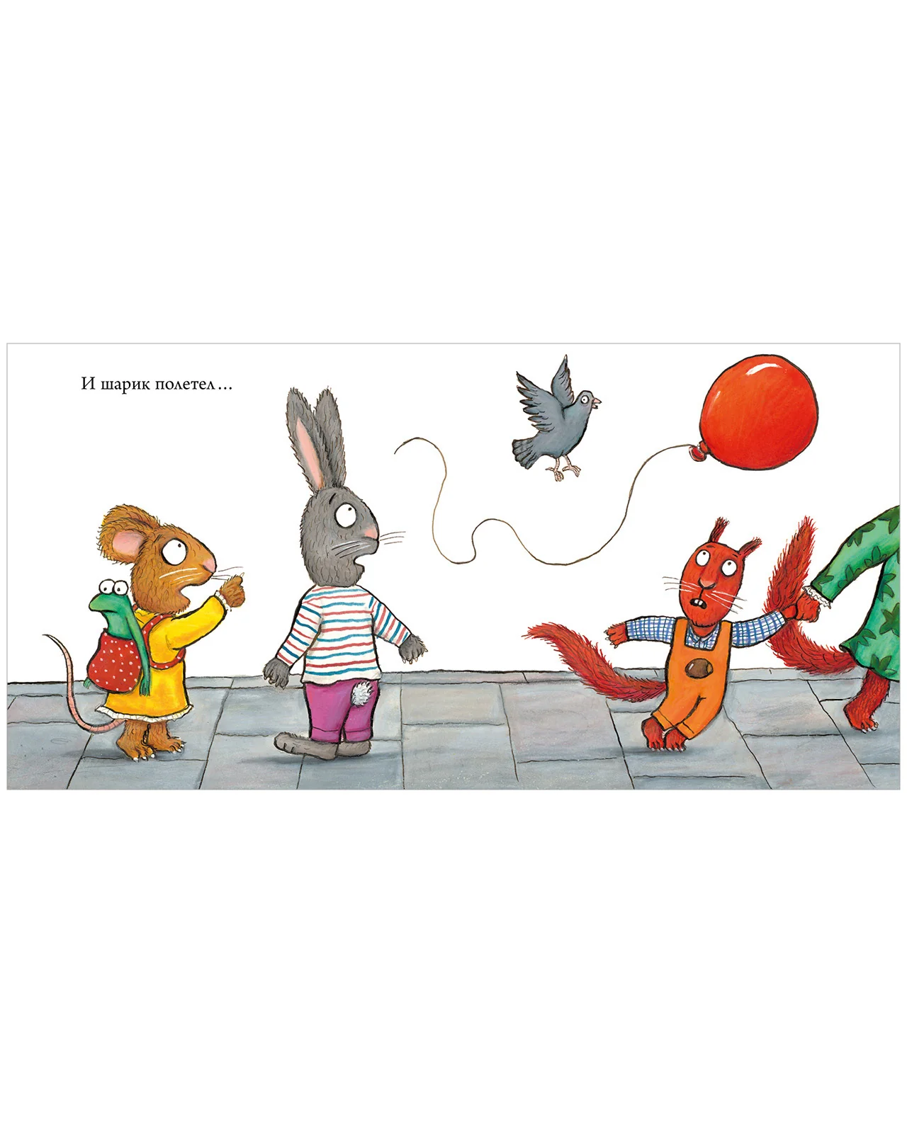 תמונת מוצר 16
