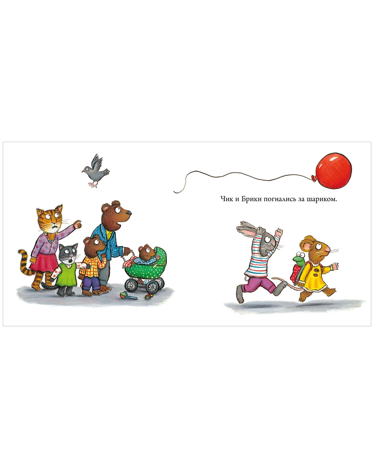 תמונת מוצר 17