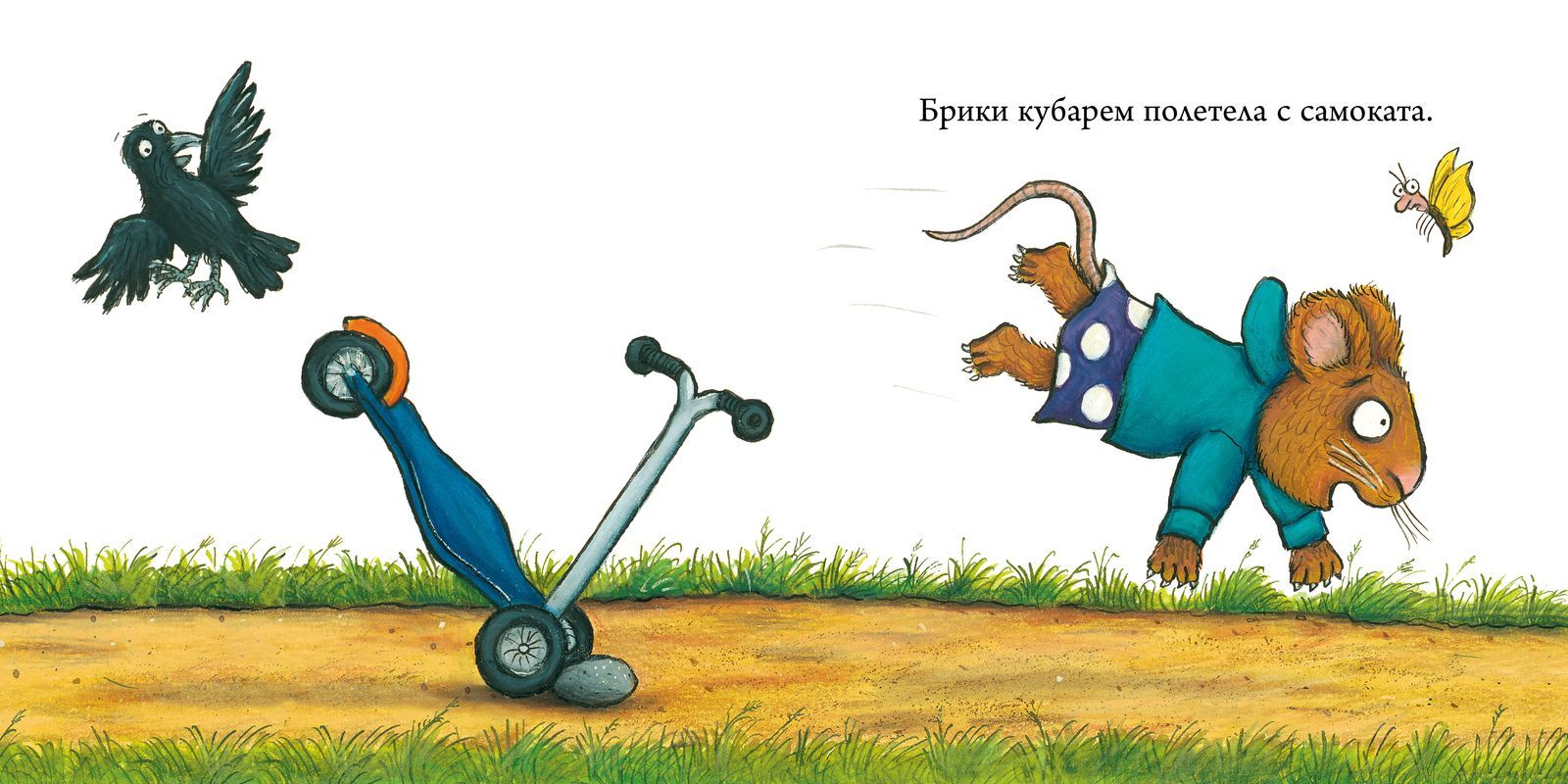 תמונת מוצר 15