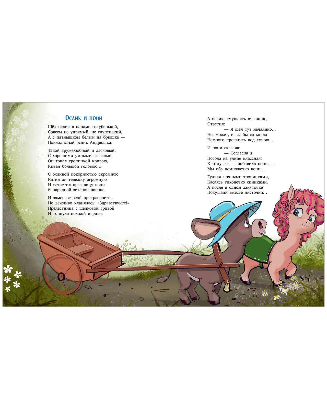 תמונת מוצר 5