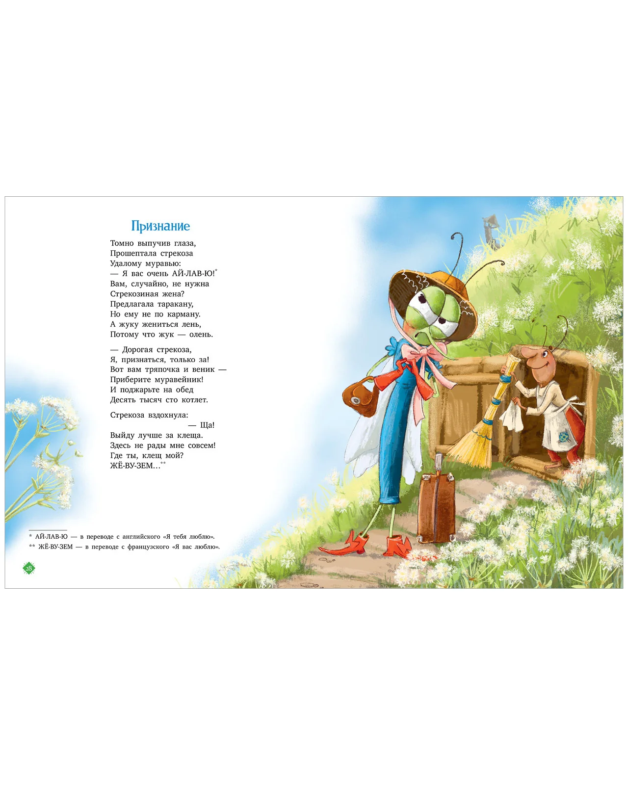 תמונת מוצר 10