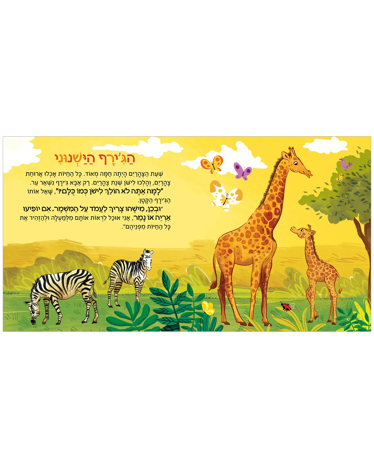 תמונת מוצר 5