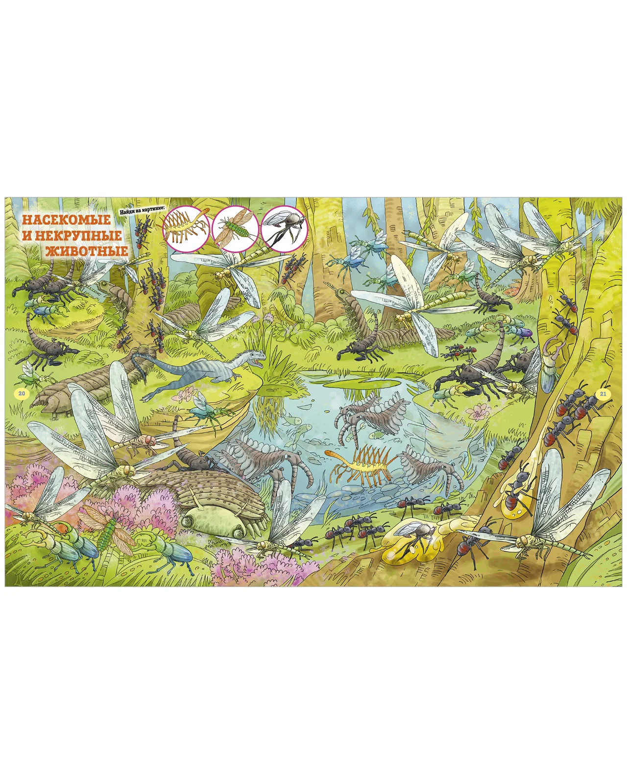 תמונת מוצר 15