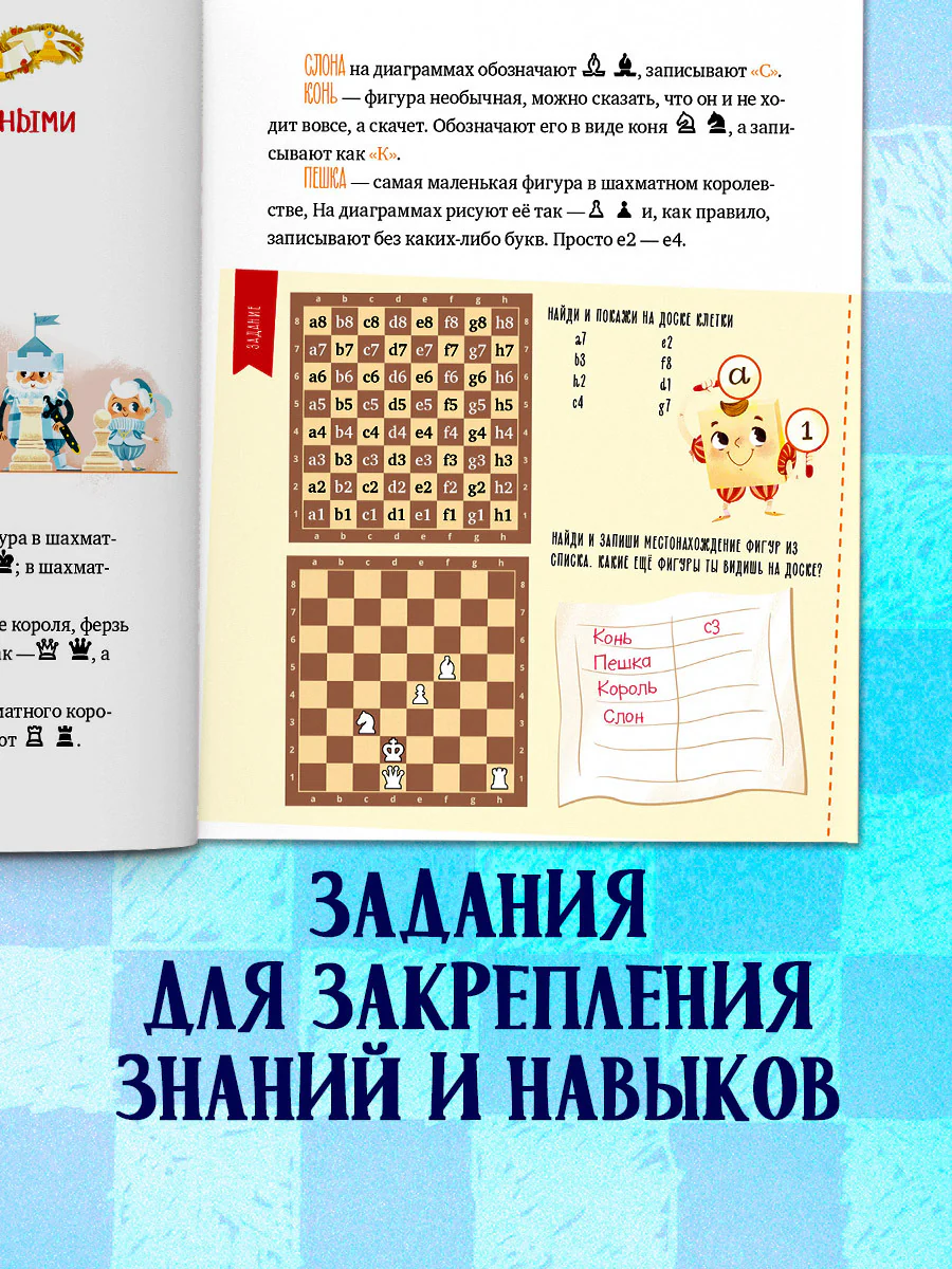 תמונת מוצר 5