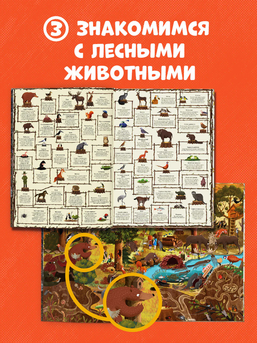תמונת מוצר 6