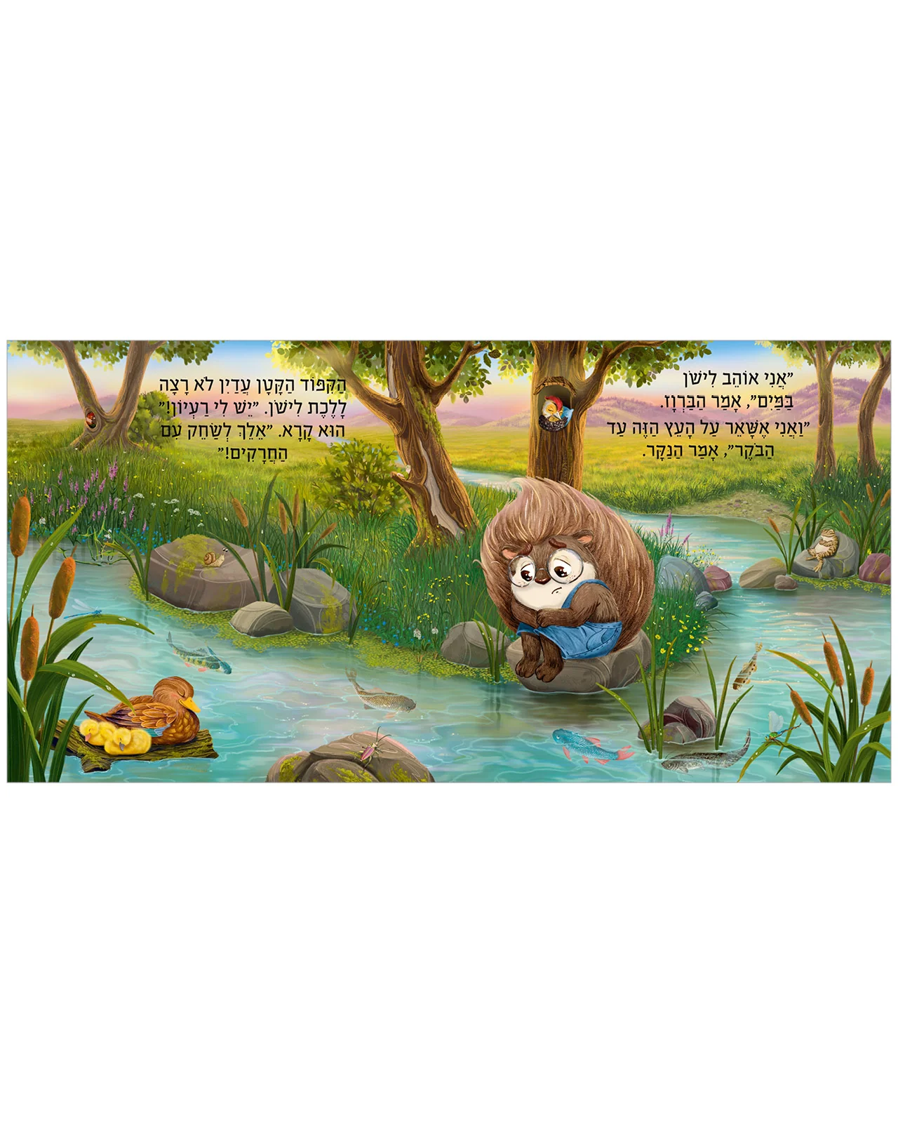 תמונת מוצר 4