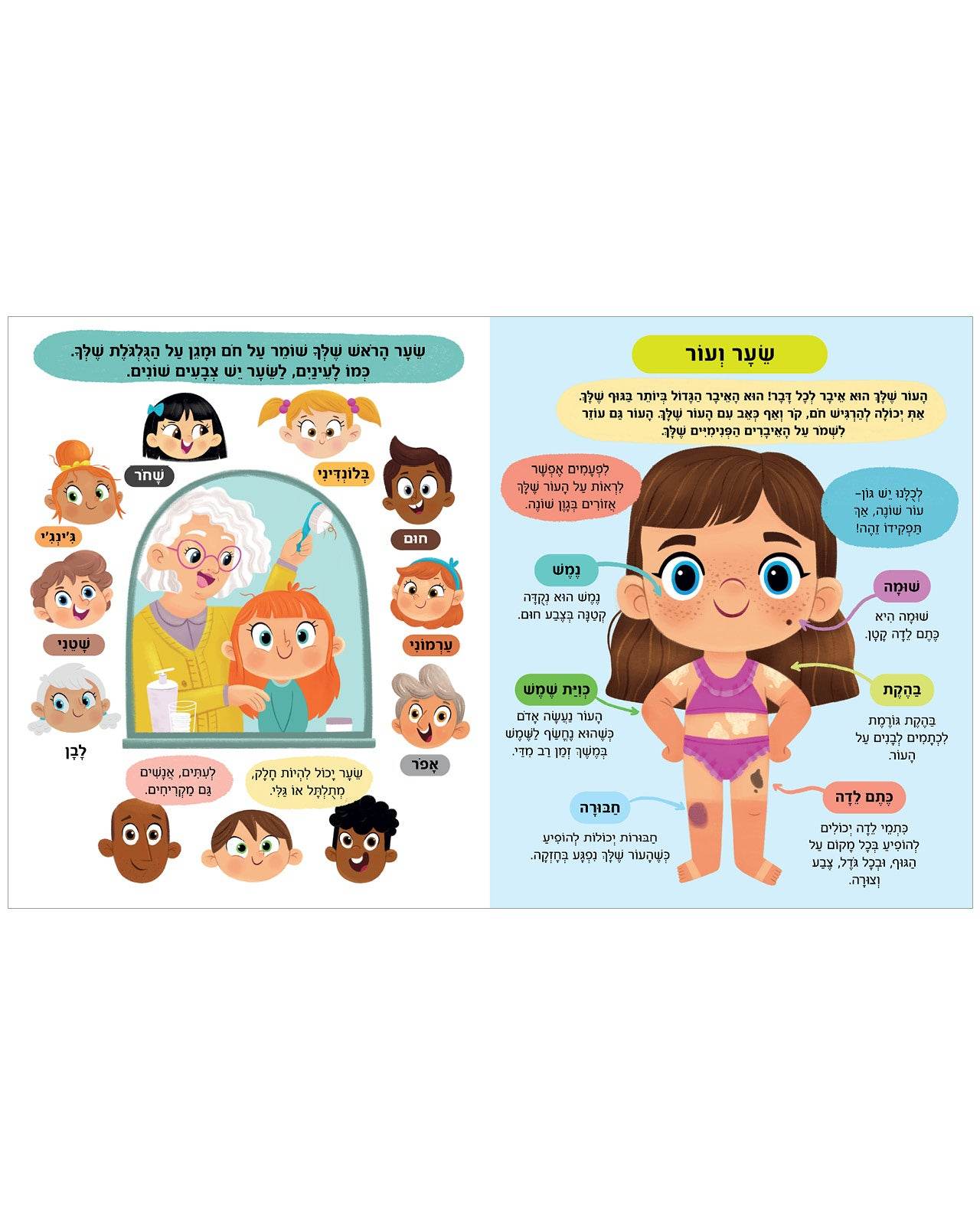 תמונת מוצר 5