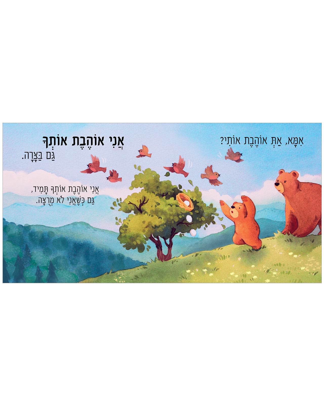 תמונת מוצר 4