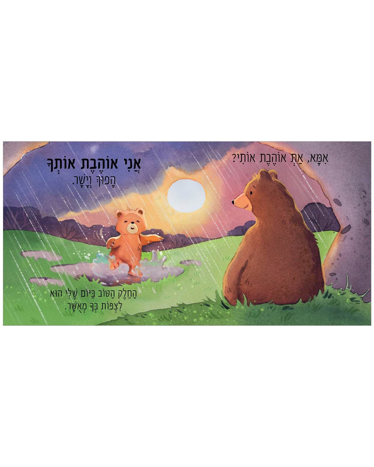 תמונת מוצר 5