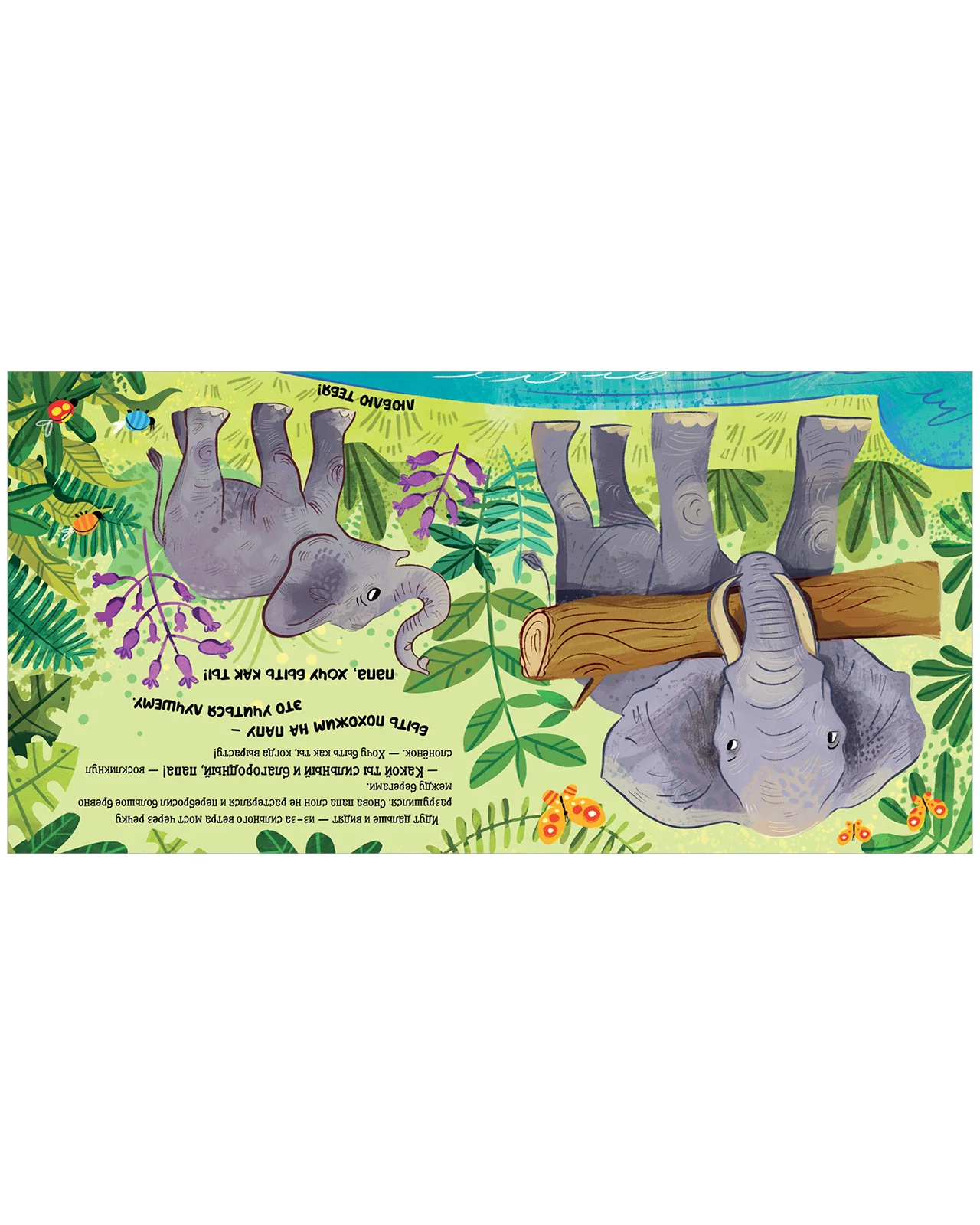 תמונת מוצר 21