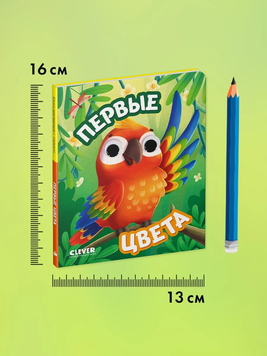 תמונת מוצר 10