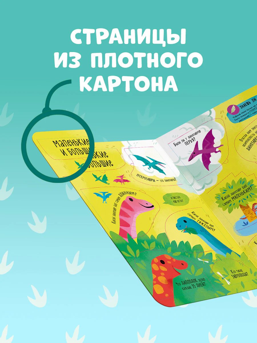 תמונת מוצר 8