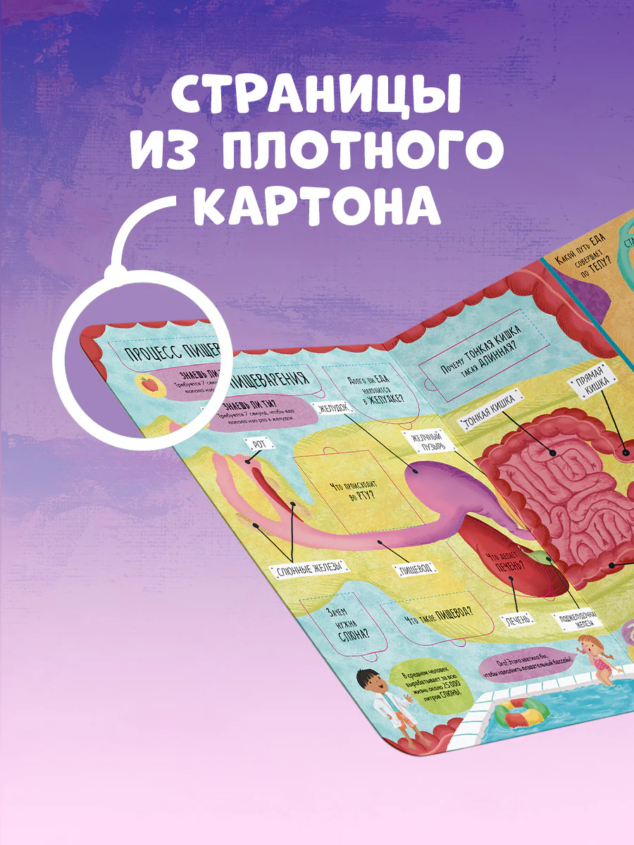 תמונת מוצר 7
