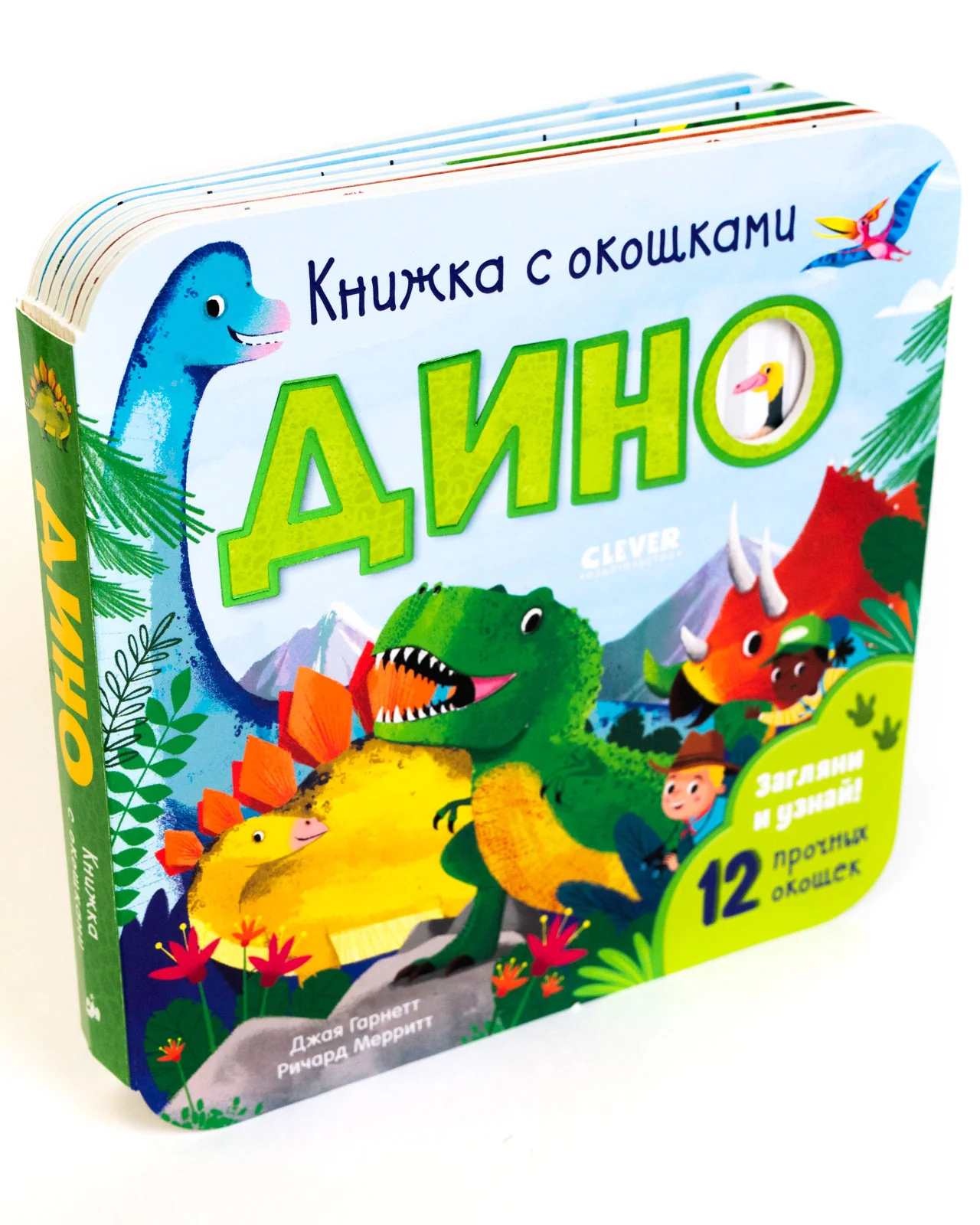 תמונת מוצר 10
