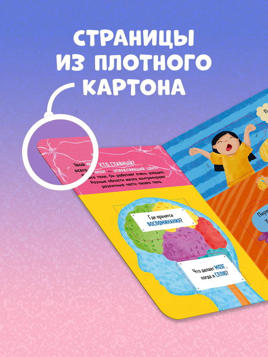 תמונת מוצר 6