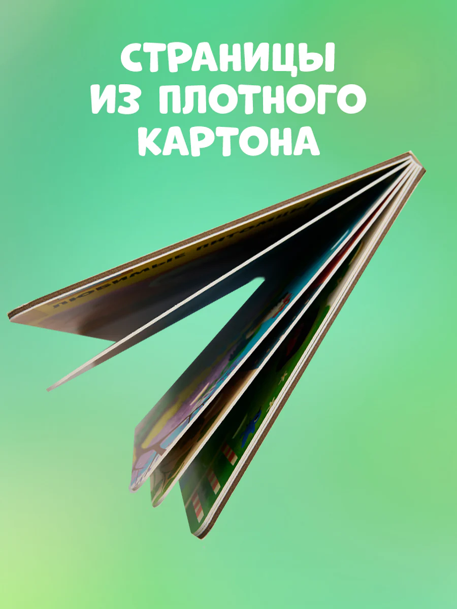 תמונת מוצר 6