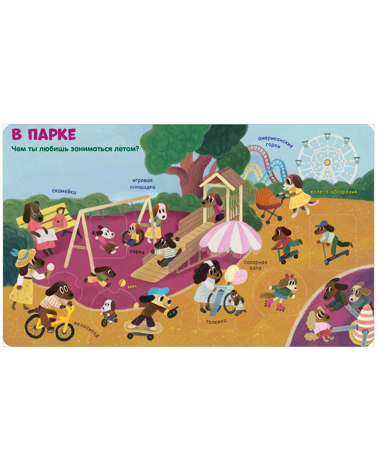 תמונת מוצר 15