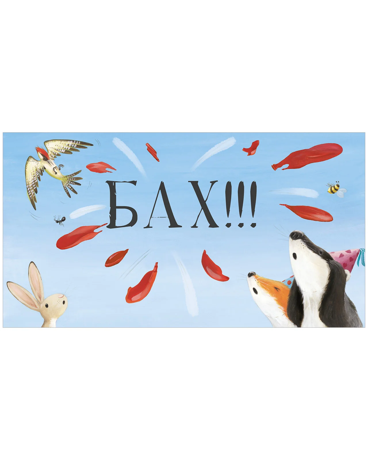 תמונת מוצר 37