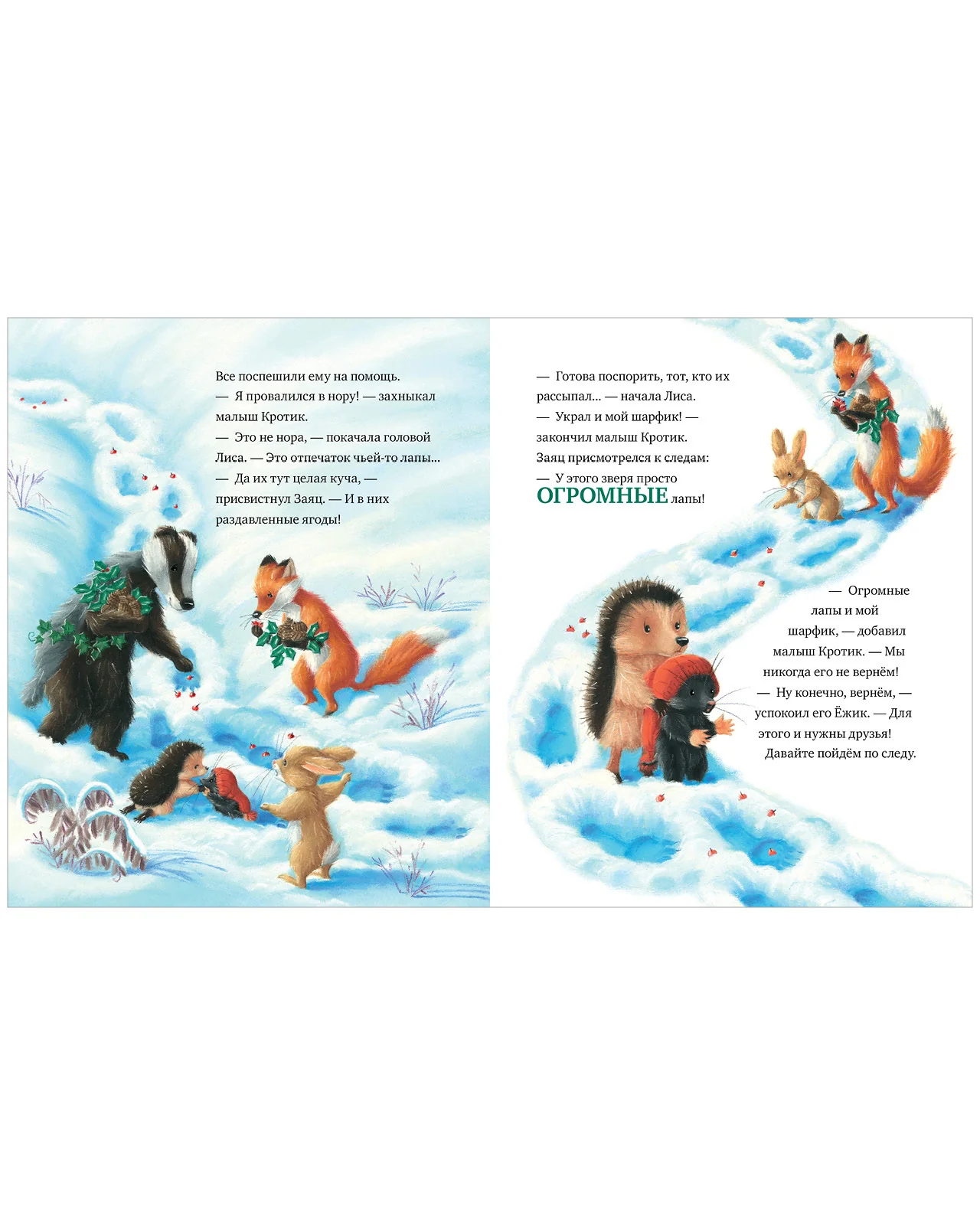 תמונת מוצר 13