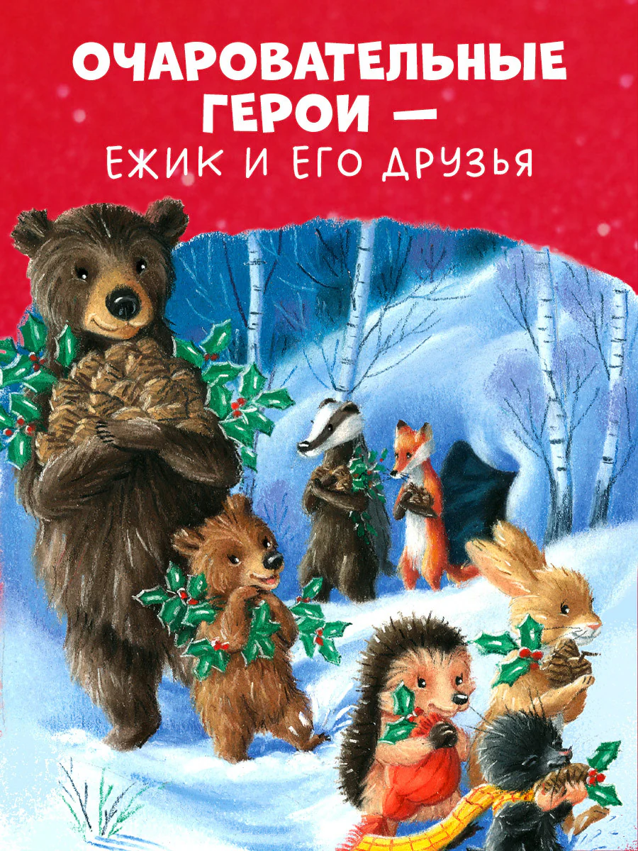 תמונת מוצר 4