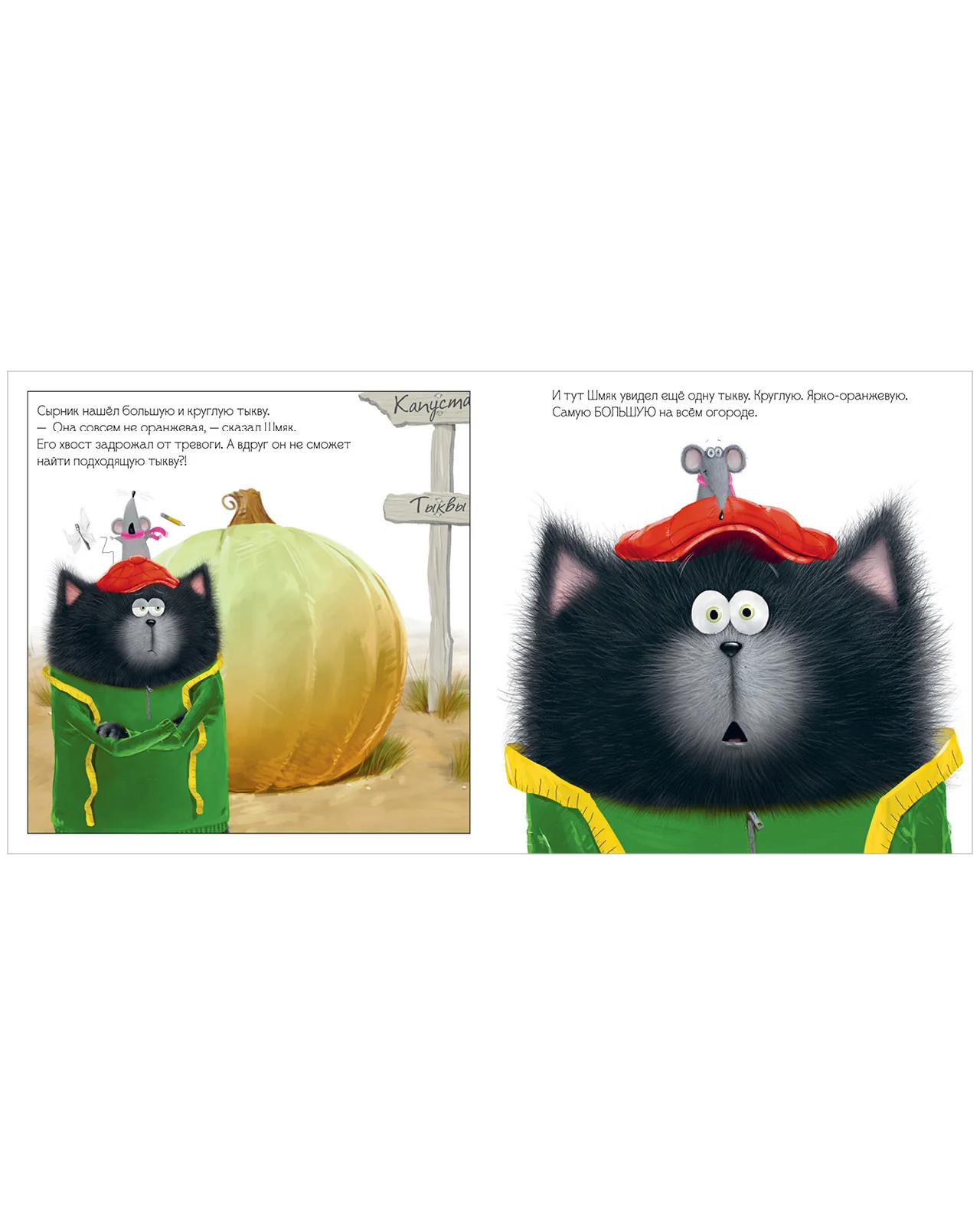 תמונת מוצר 15