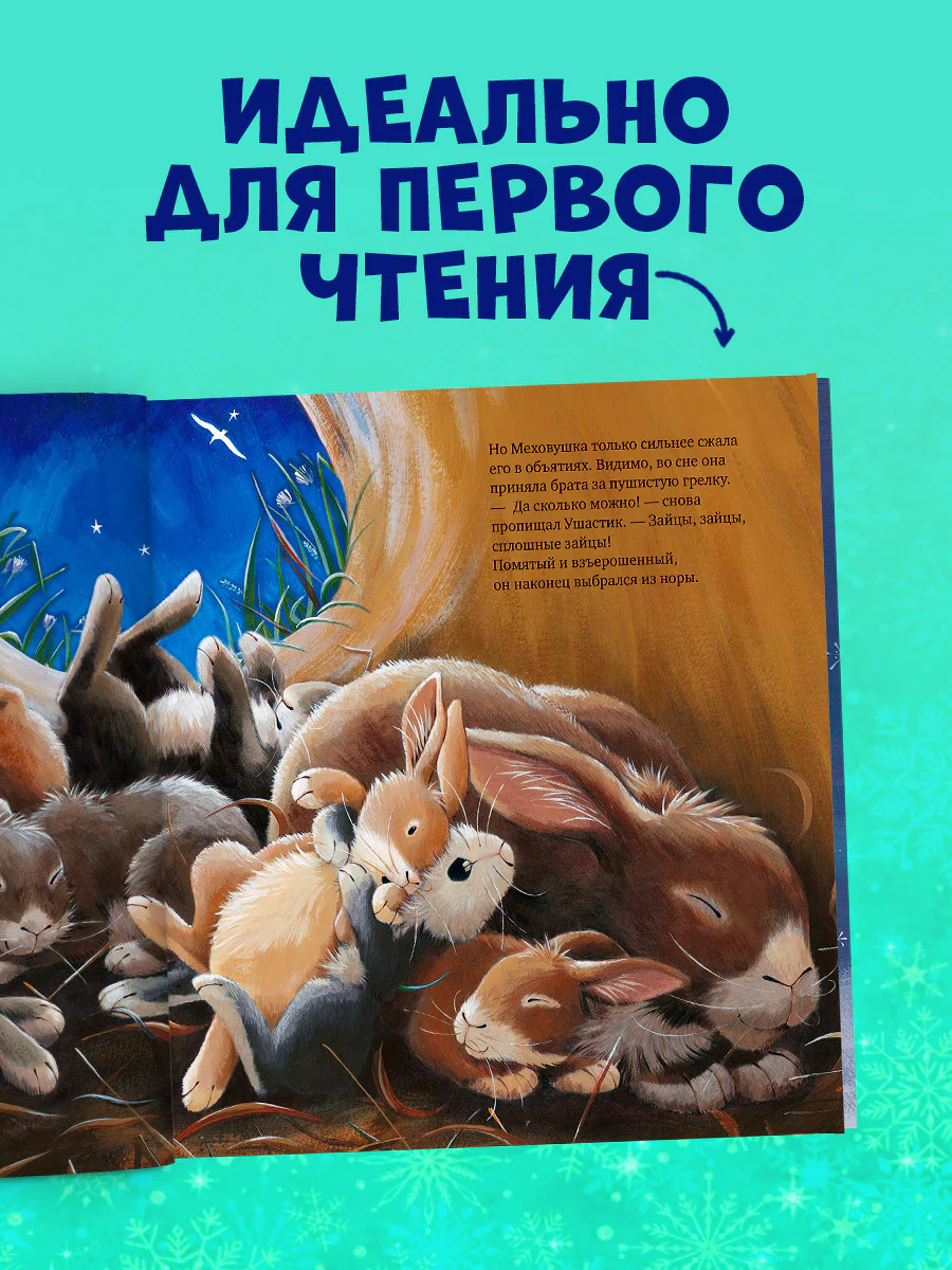 תמונת מוצר 4