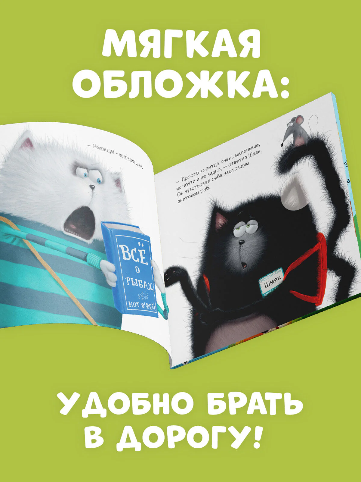 תמונת מוצר 4