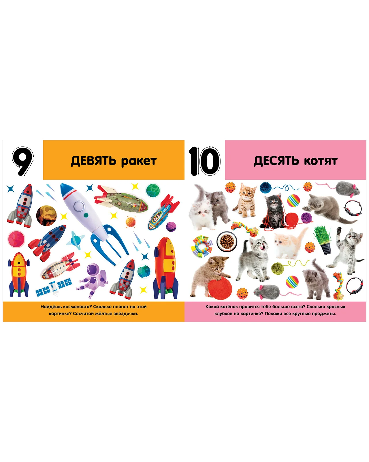 תמונת מוצר 11