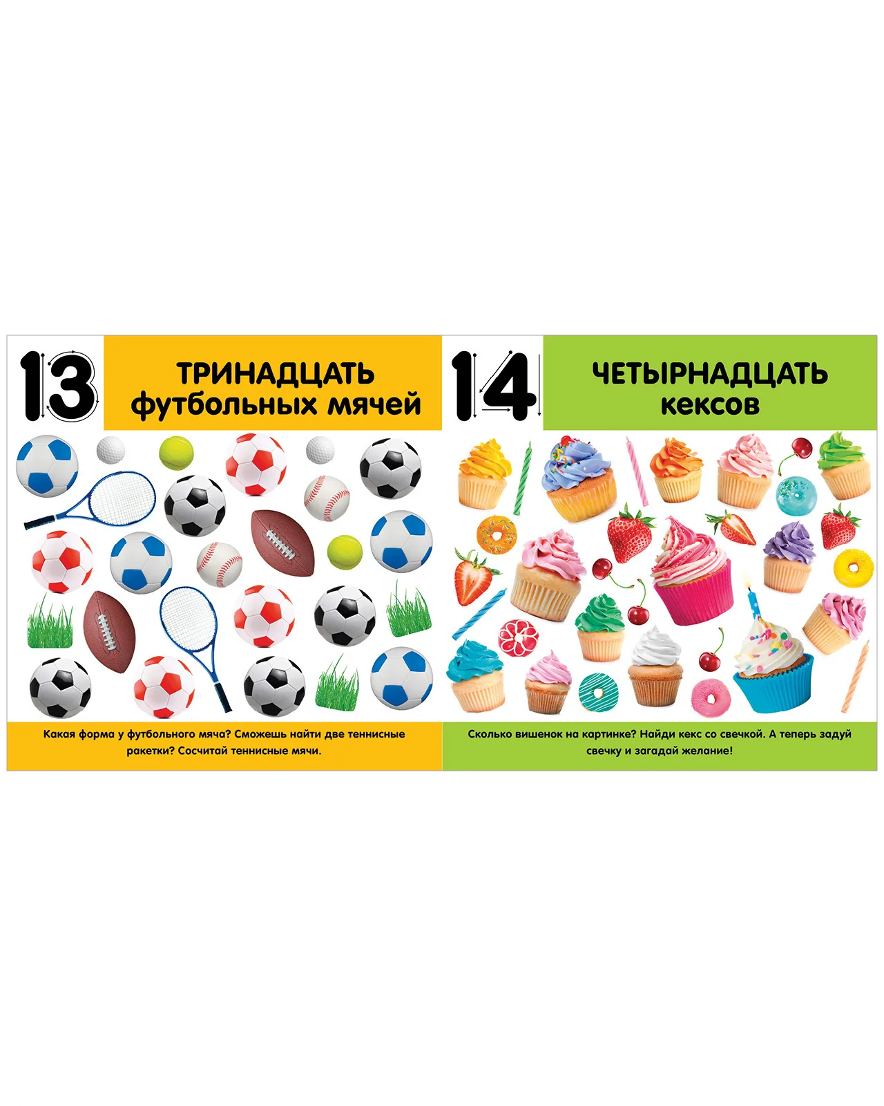 תמונת מוצר 13