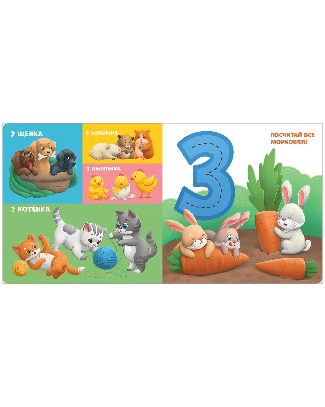 תמונת מוצר 12