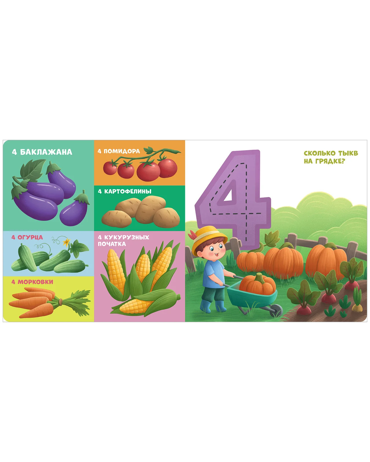 תמונת מוצר 13