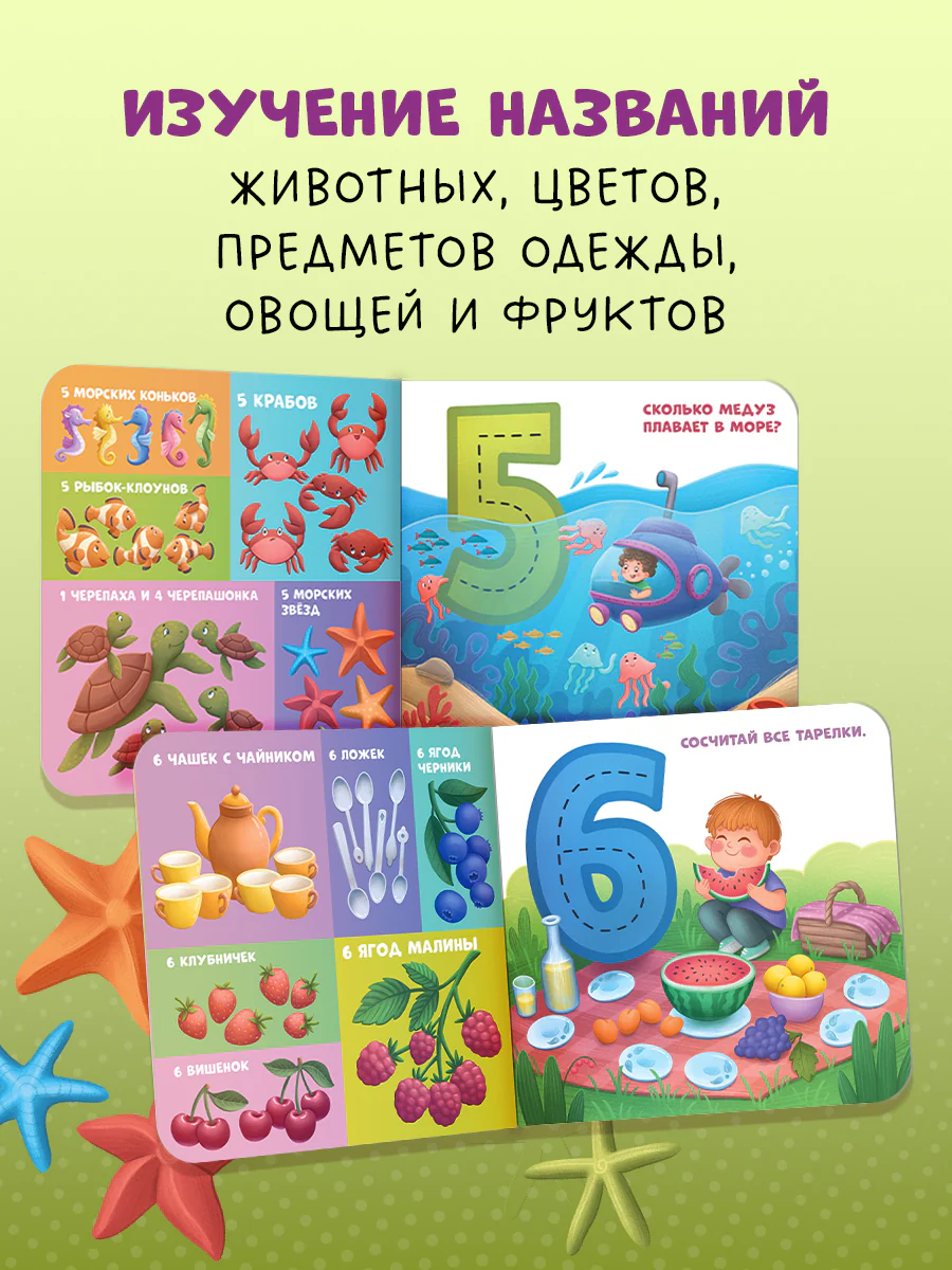 תמונת מוצר 4