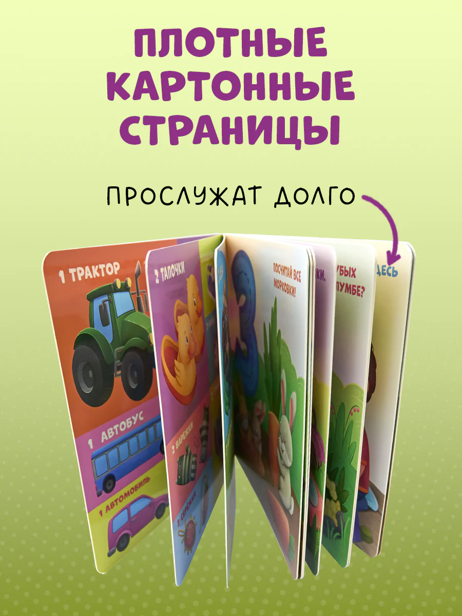 תמונת מוצר 8