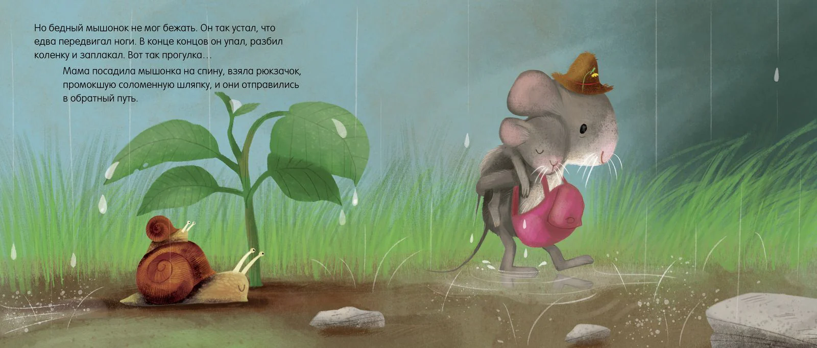 תמונת מוצר 13