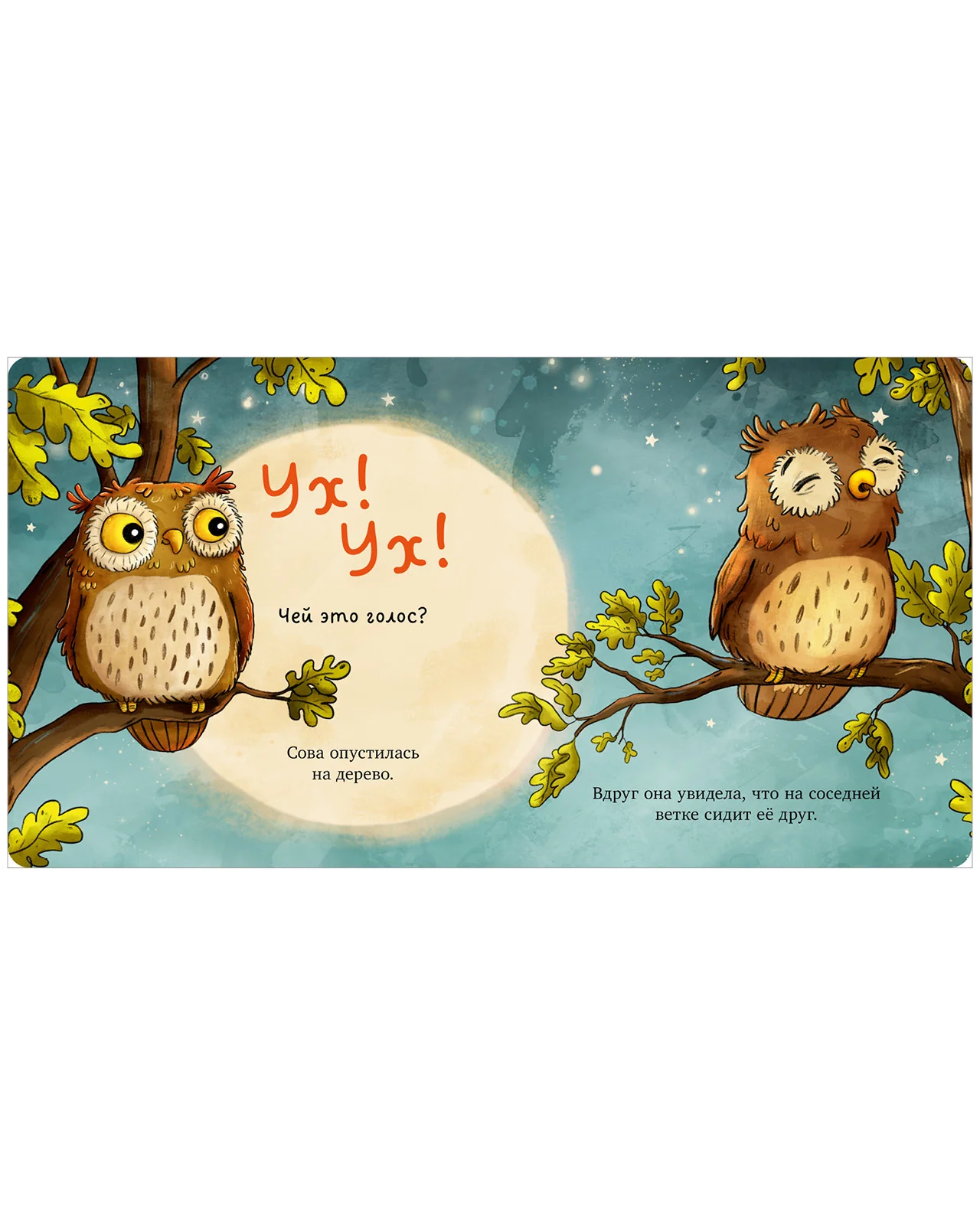 תמונת מוצר 14