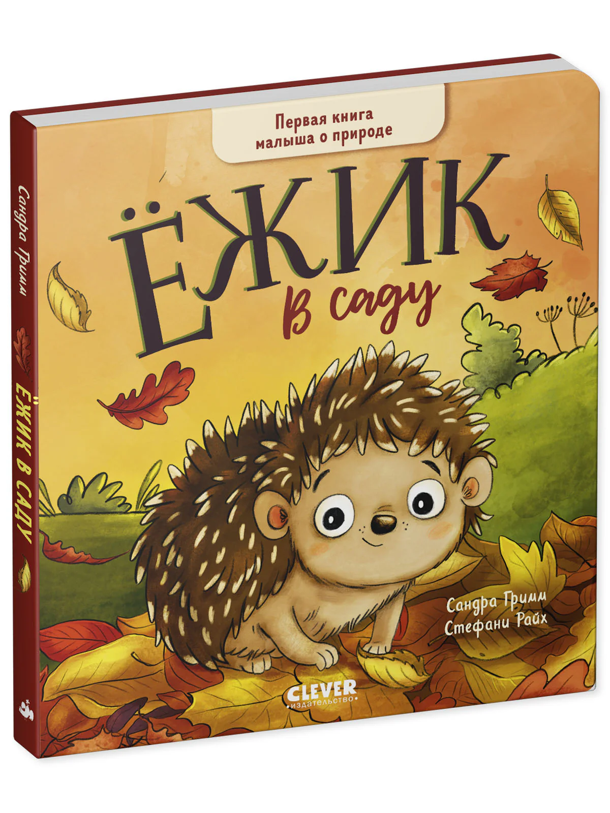 תמונת מוצר 10