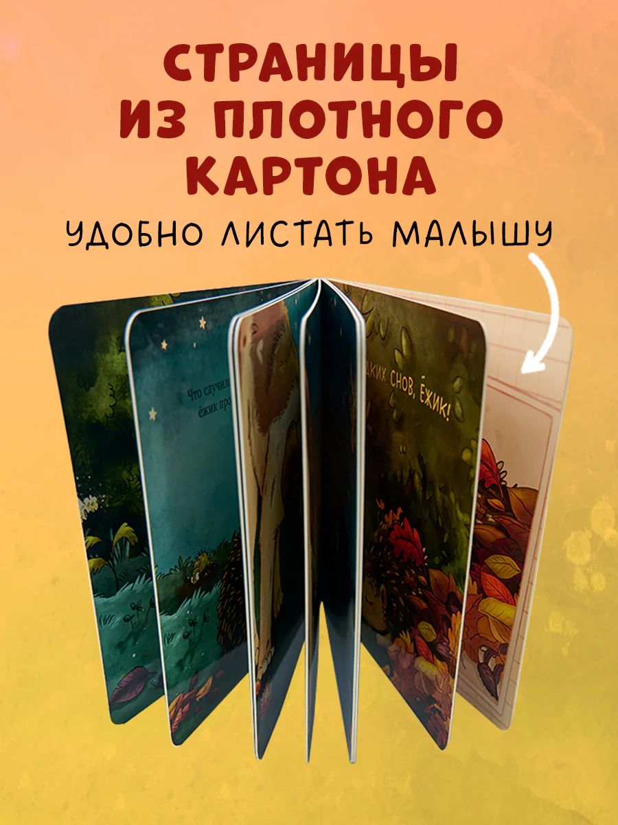תמונת מוצר 6