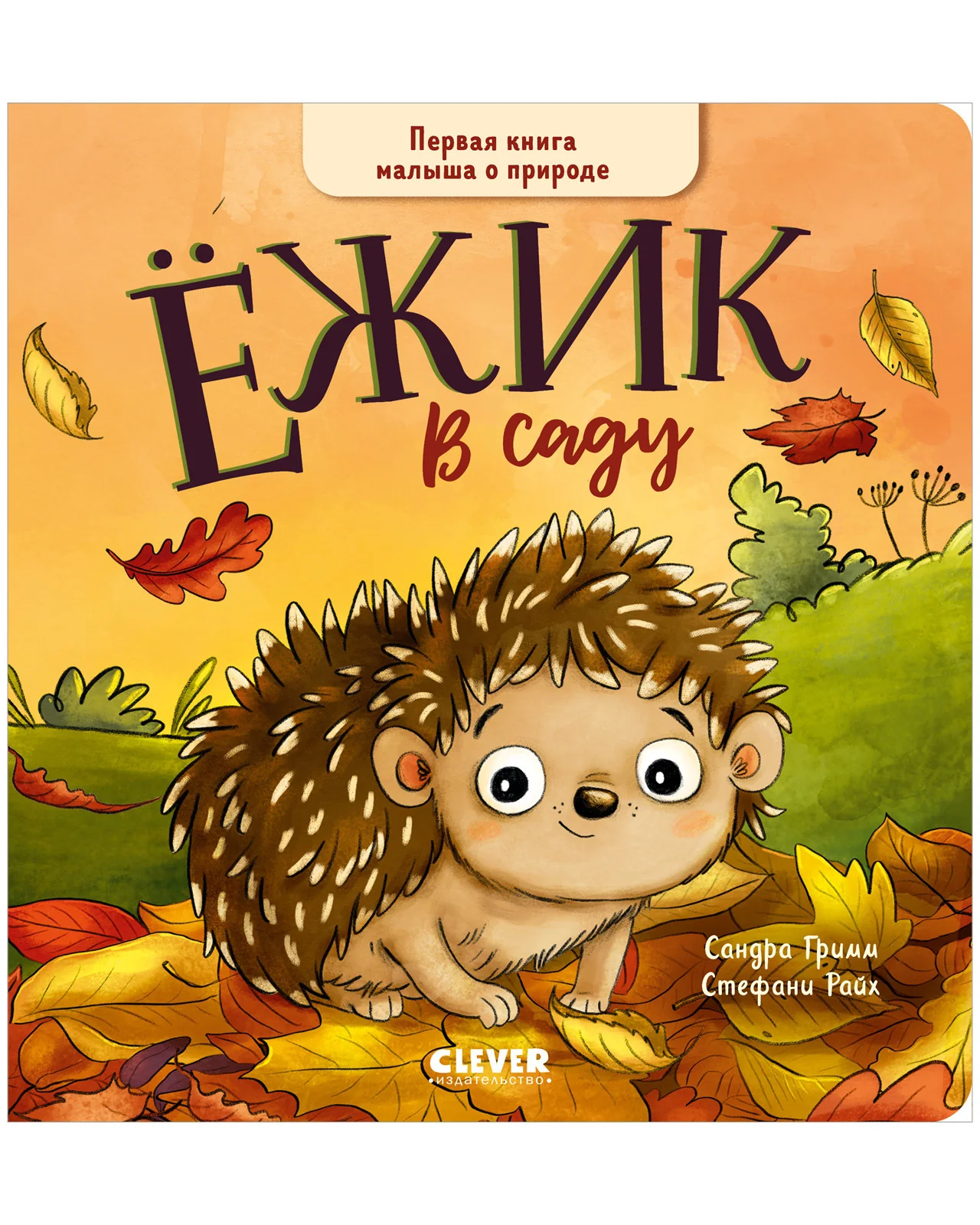 תמונת מוצר 9