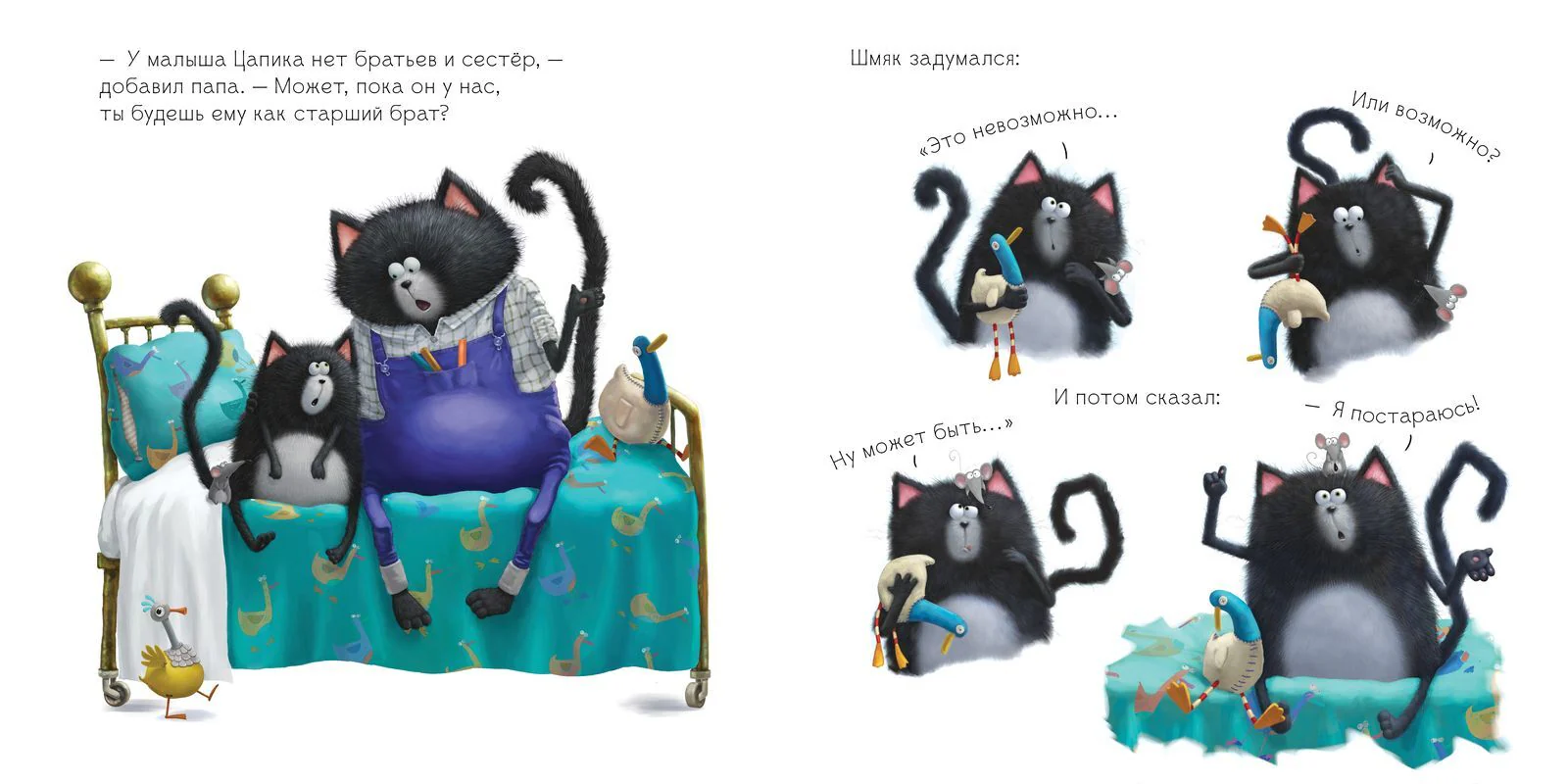 תמונת מוצר 19