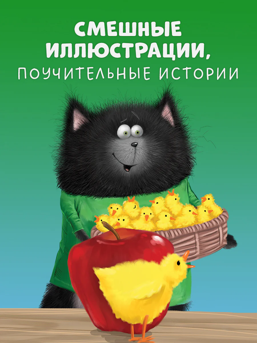 תמונת מוצר 4