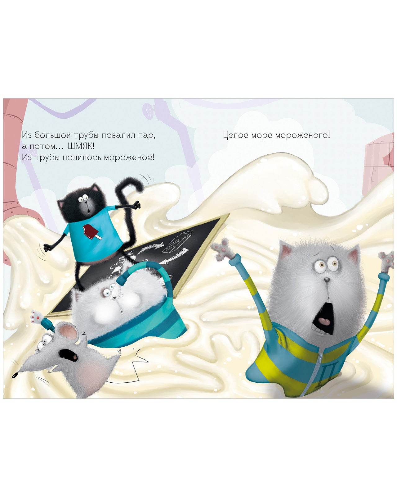 תמונת מוצר 5