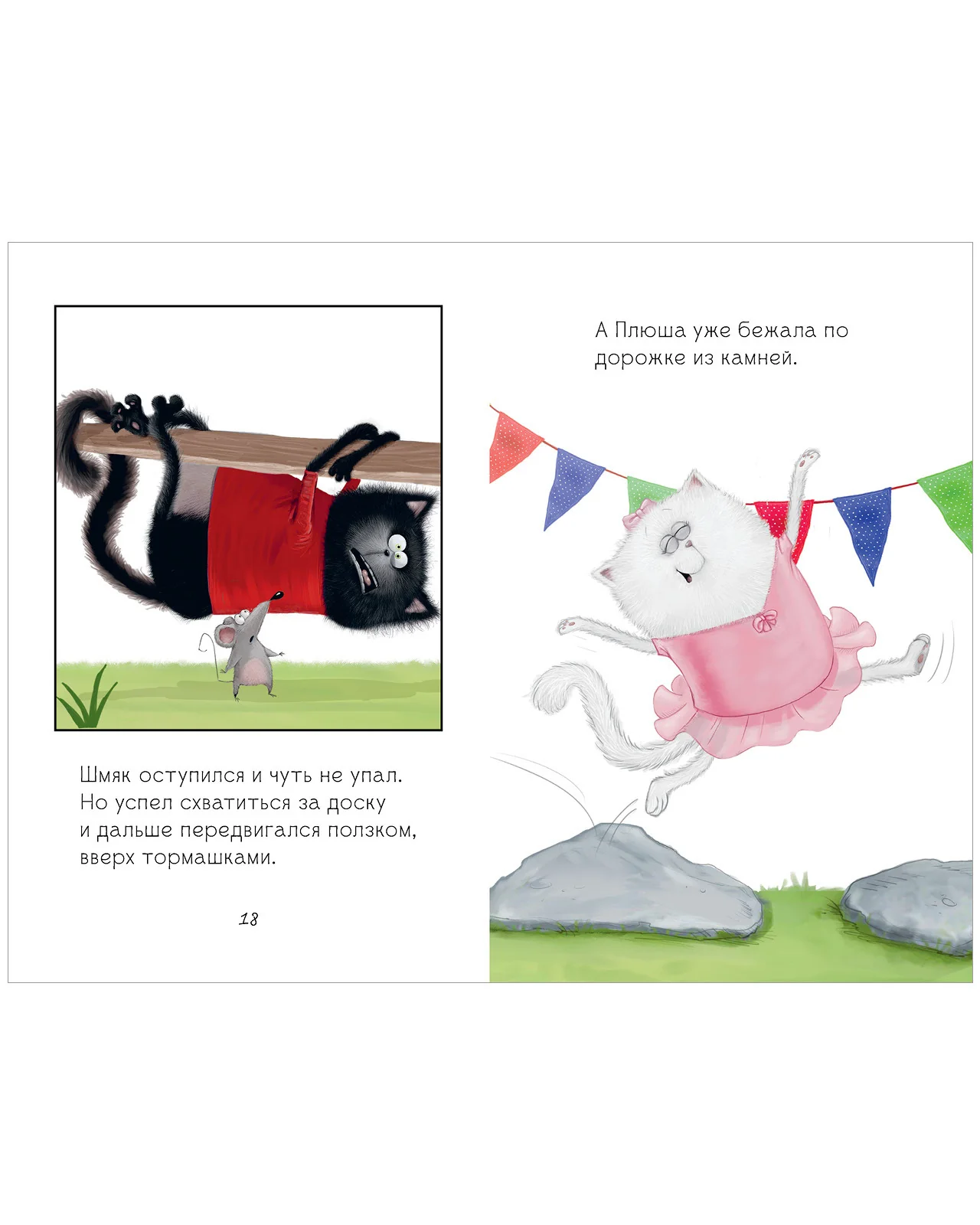תמונת מוצר 22
