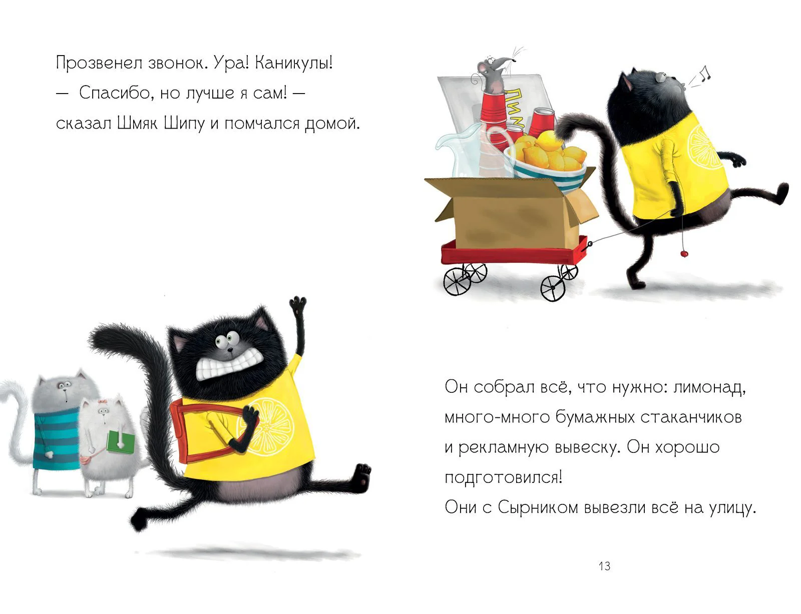 תמונת מוצר 14