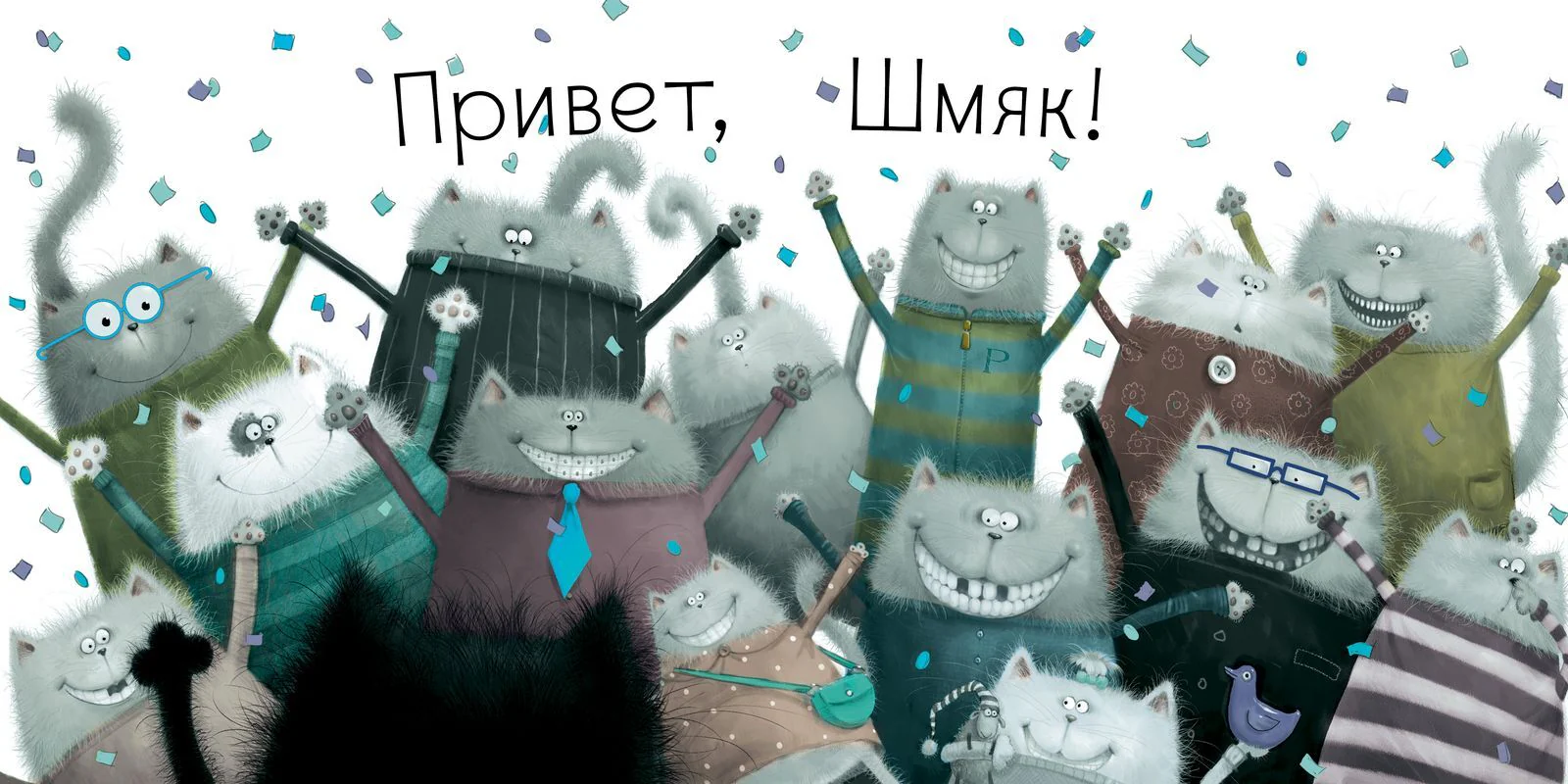 תמונת מוצר 13