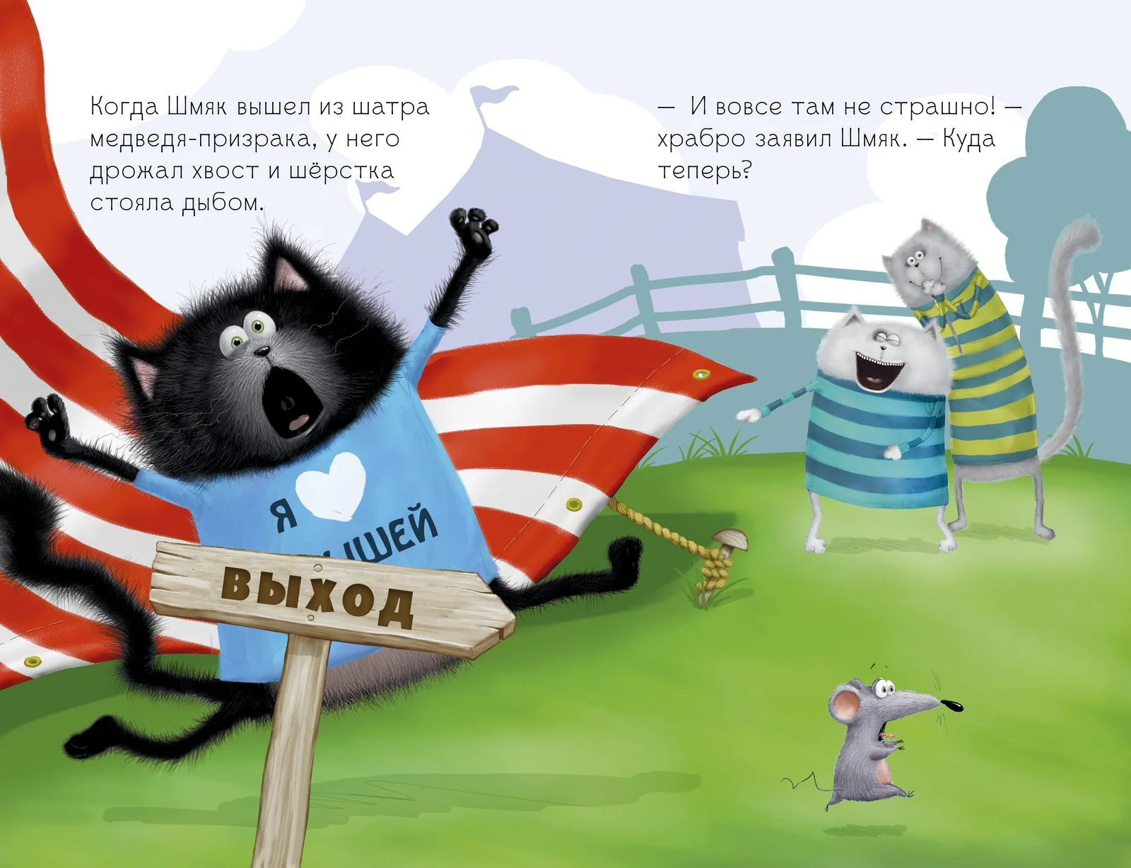 תמונת מוצר 12