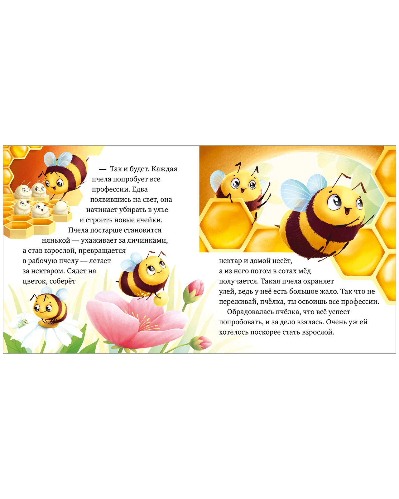 תמונת מוצר 14